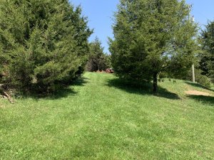 F52C985D-DEEC-40DE-9458-C3E22AB81D12.jpeg