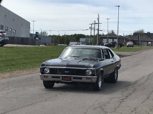 2771ED17-2699-4CA7-90E9-C9559F9D2F48.jpeg