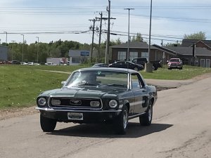 D7D63879-1BD5-4800-AF9C-3E7B35BE1568.jpeg
