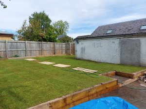 Pauls finished grass 2 6 2022.jpg
