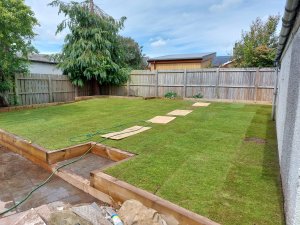 Finished grass 2-6-2022.jpg