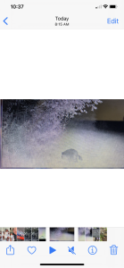D9219EA2-F344-4696-8135-1834CD4F73FC.png
