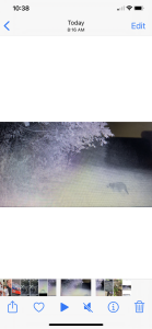 C7C2A722-C2CD-48C1-9AEE-F9628CEAFE4F.png