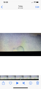 BA29093C-E444-4696-AAED-AE3E437E0693.png