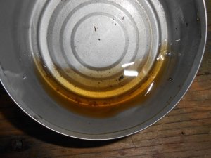 DSCN0311.JPG