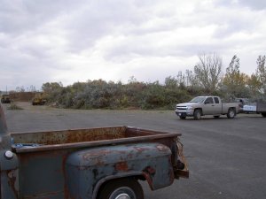 draging branches 7.jpg