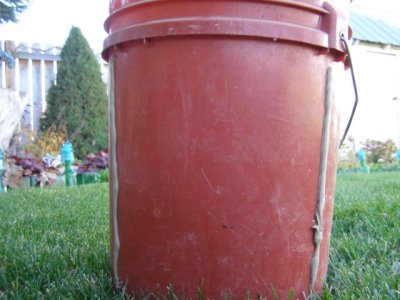 PA090001 (Small).JPG