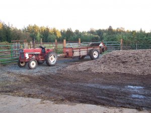 100_0267 (Medium).JPG