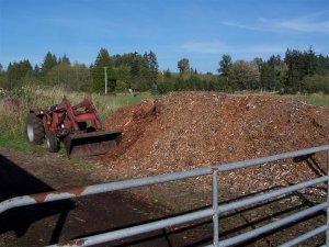 100_0274 (Medium).JPG