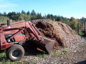 100_0275 (Medium).JPG