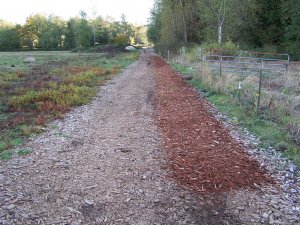 100_0276 (Medium).JPG