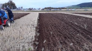 Jock ploughing.jpg