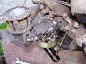 100_0337 (Medium).JPG