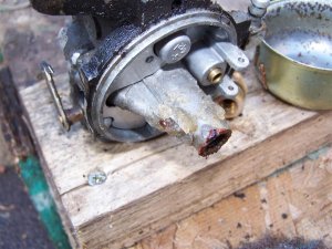 100_0342 (Medium).JPG