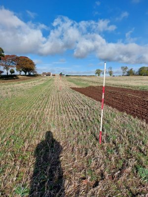 Feering poles set up.jpg