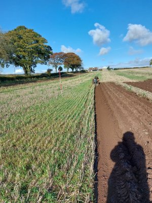 Good ploughing.jpg