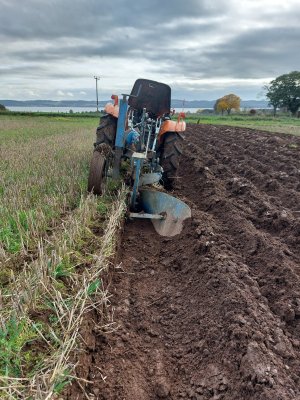 Last furrow.jpg