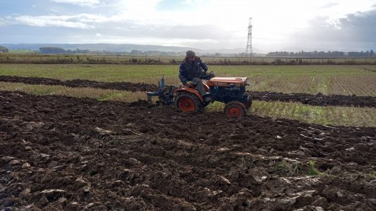 George ploughing 2.jpg