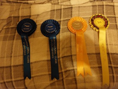 Rosettes.jpg