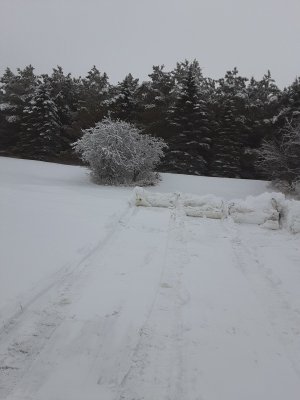20221214_092130.jpg 20221214_092130.jpg