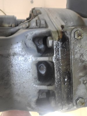 20230112_094213.jpg