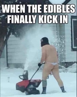 F9DA4DC1-F20B-4ADA-8023-B01695008840.jpeg