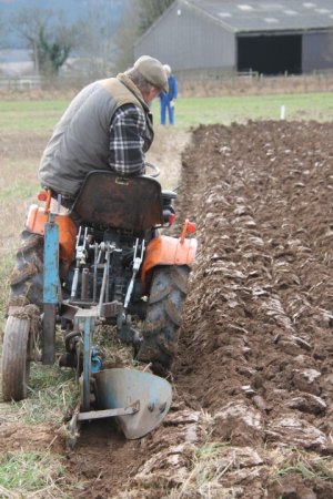 trial 12-2-2023.jpg