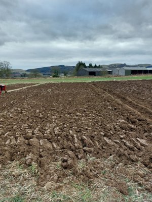 Ploughing and finish 12-2-2023.jpg