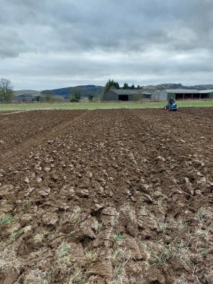 Ploughing today 12-2-2023.jpg