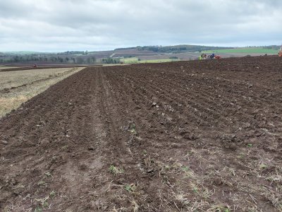 Tam finish and ploughing.jpg