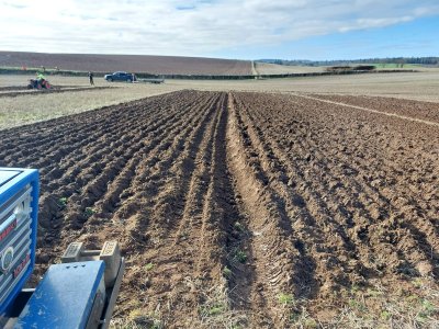 Sandy Blackie plot 13 .jpg