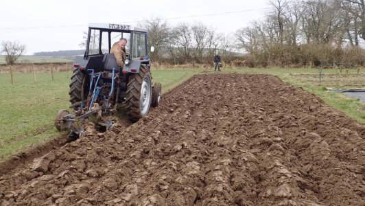 Harkness double furrow.jpg