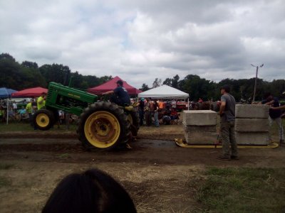 fair 7.jpg