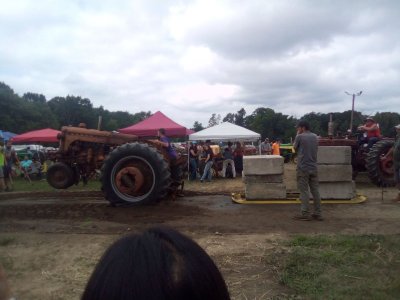 fair 8.jpg