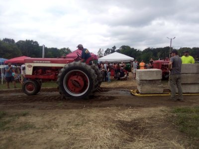 fair 9.jpg