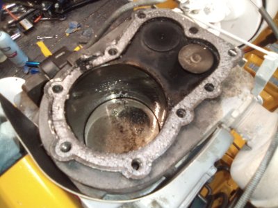 gasket 1.jpg