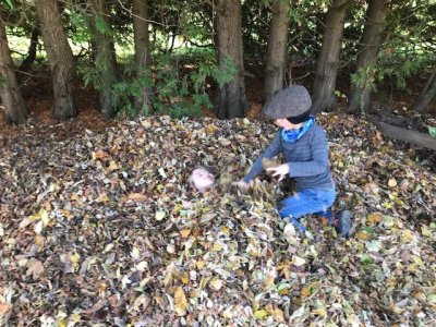 thumbnail (14).jpg