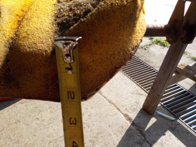 4 Measuring Padding Thickenss Appears To Be Two Inch As Well.jpg