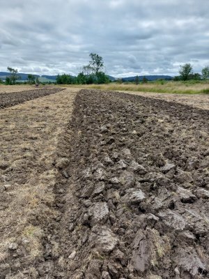 First time ploughing concrete 22-7-23.jpg