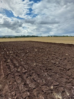 Ploughing with scotch skimmer day2.jpg