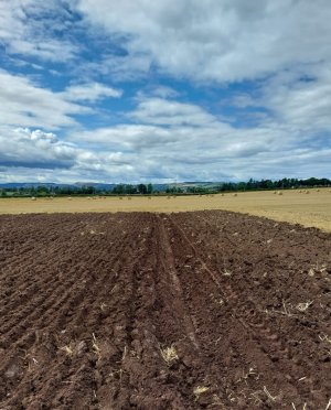 ploughing without skimmer day3.jpg