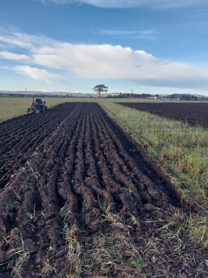 First 5 furrows disc and skimmer 10-11-23.jpg