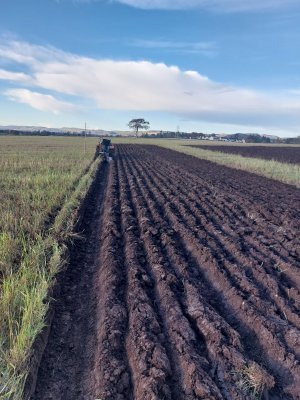 Tidy ploughing 10-11-23.jpg