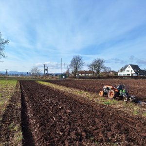 day 26 ploughing.jpg