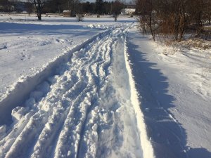 E147B785-3CB3-4737-BE6F-A786C9827911.jpeg
