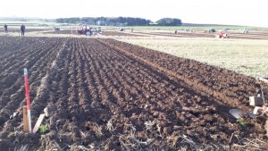 Nice ploughing 2018.jpg