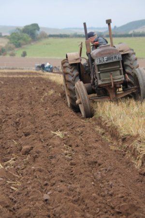 Raymond Smart at Cupar 6-10-24.jpg