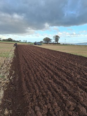 ploughing across the tramelines.jpg