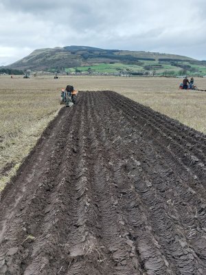 George ploughing 25-3-23.jpg