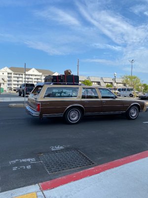 IMG_1304.jpeg
